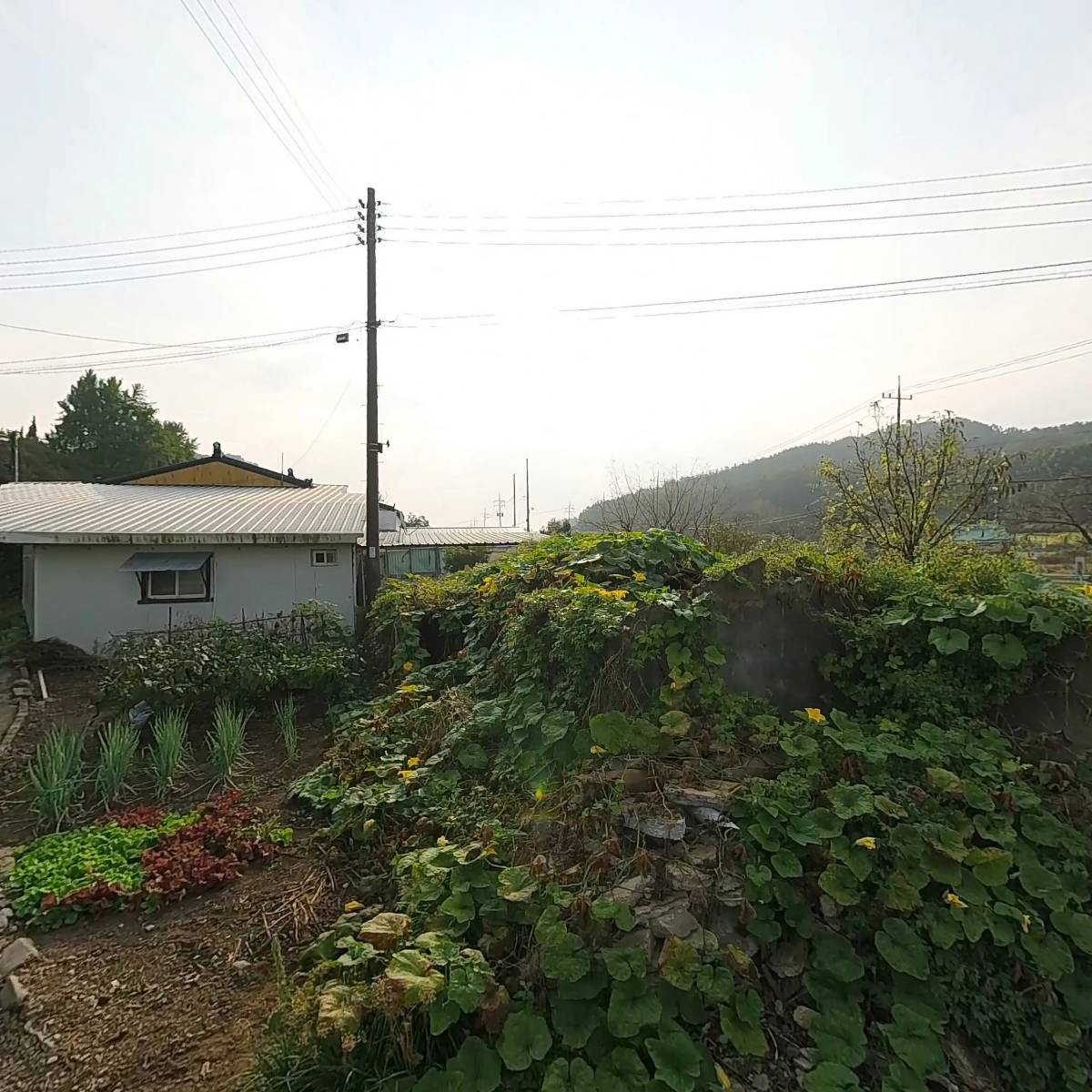 고성자원