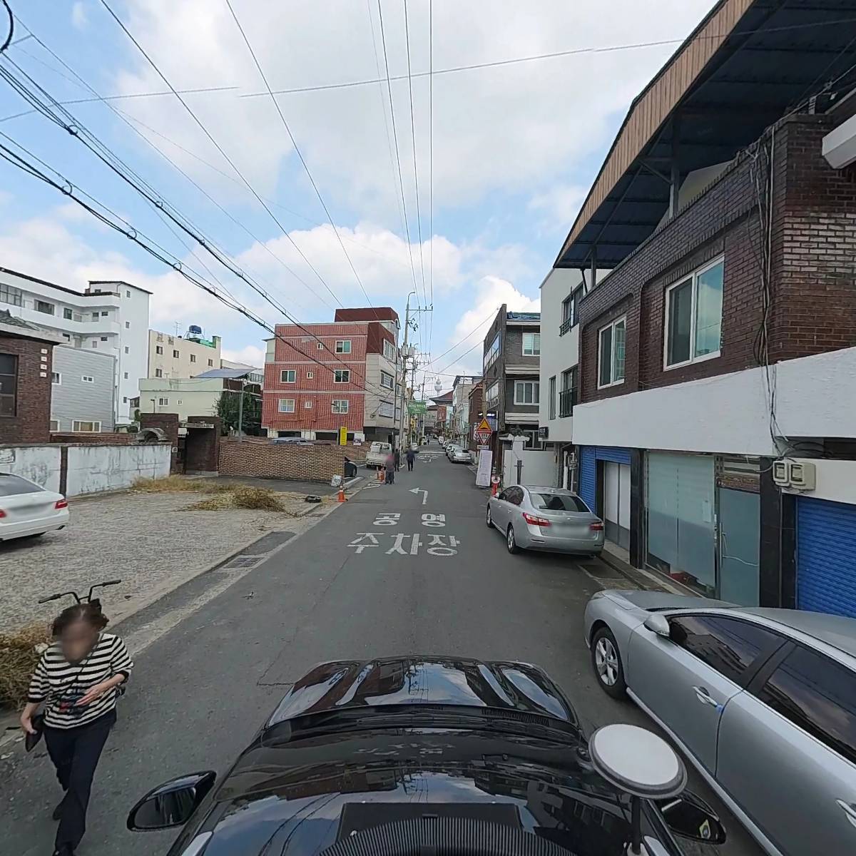 88애견캠핑_4