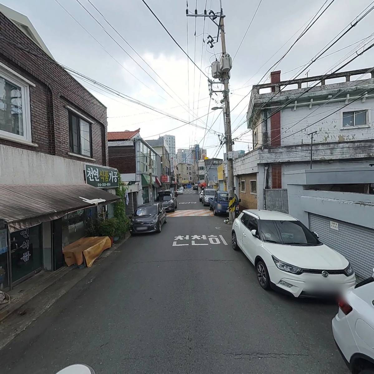 88애견캠핑_2
