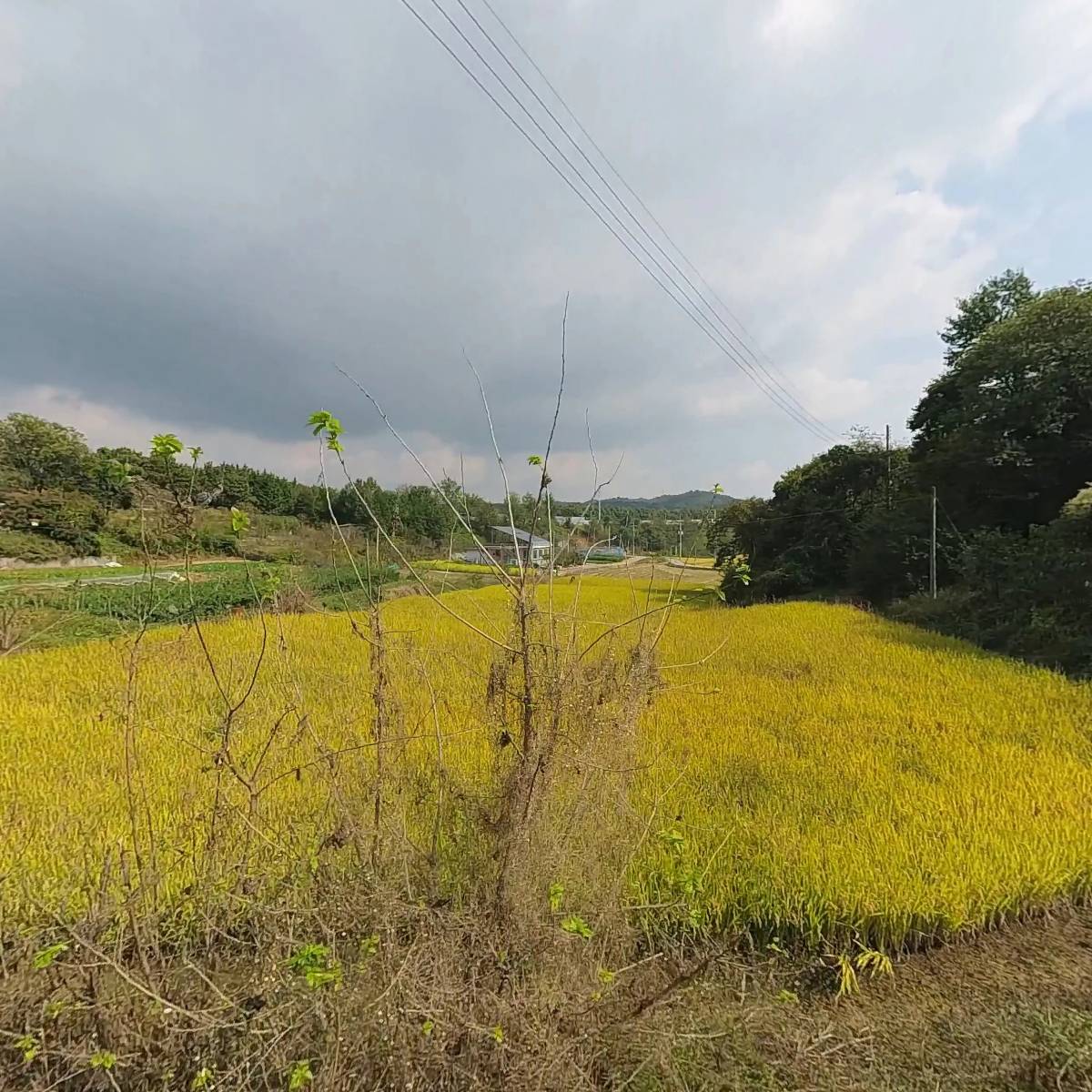 군산 밝은교회