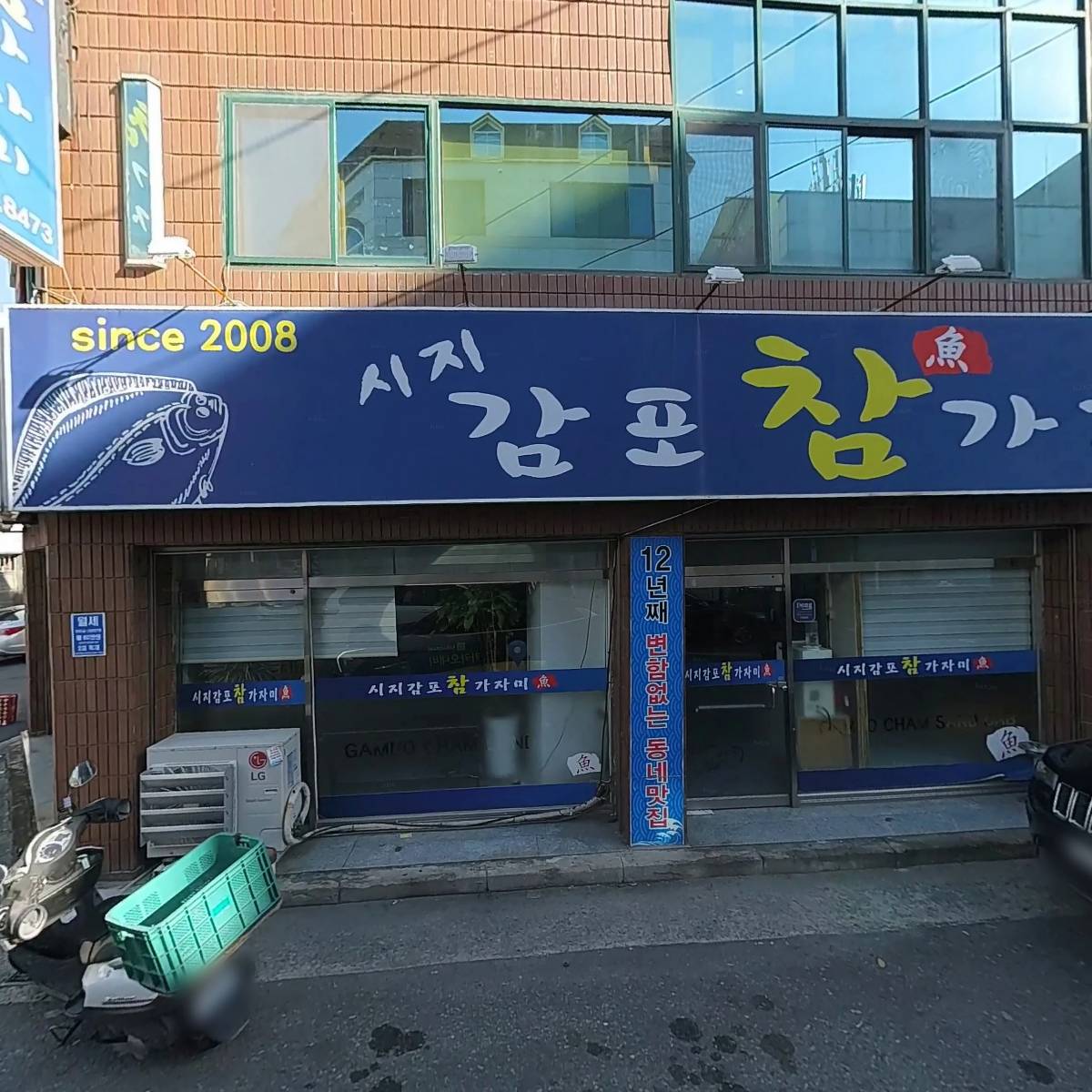 감포참가자미