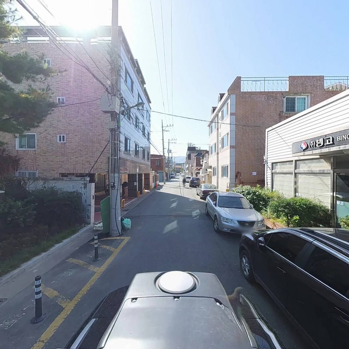 빙고 PLANT_2