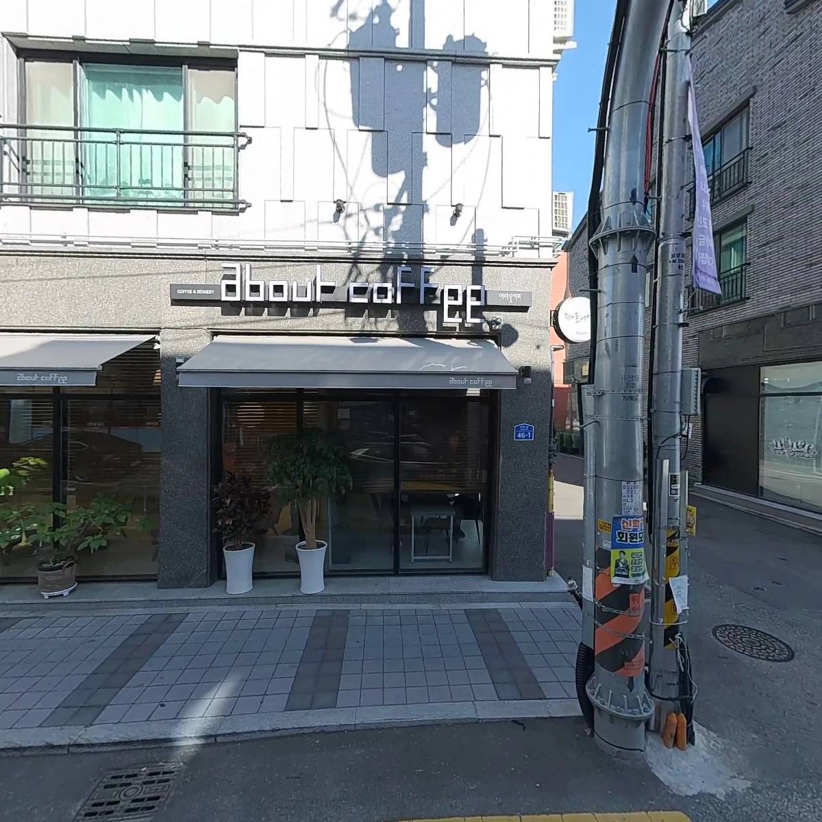 파인트리_3