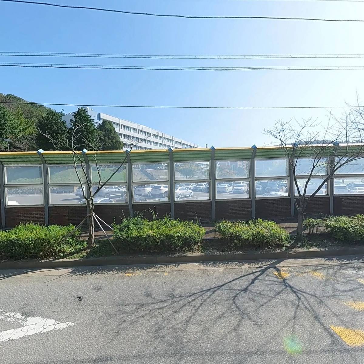 안드레아바냐