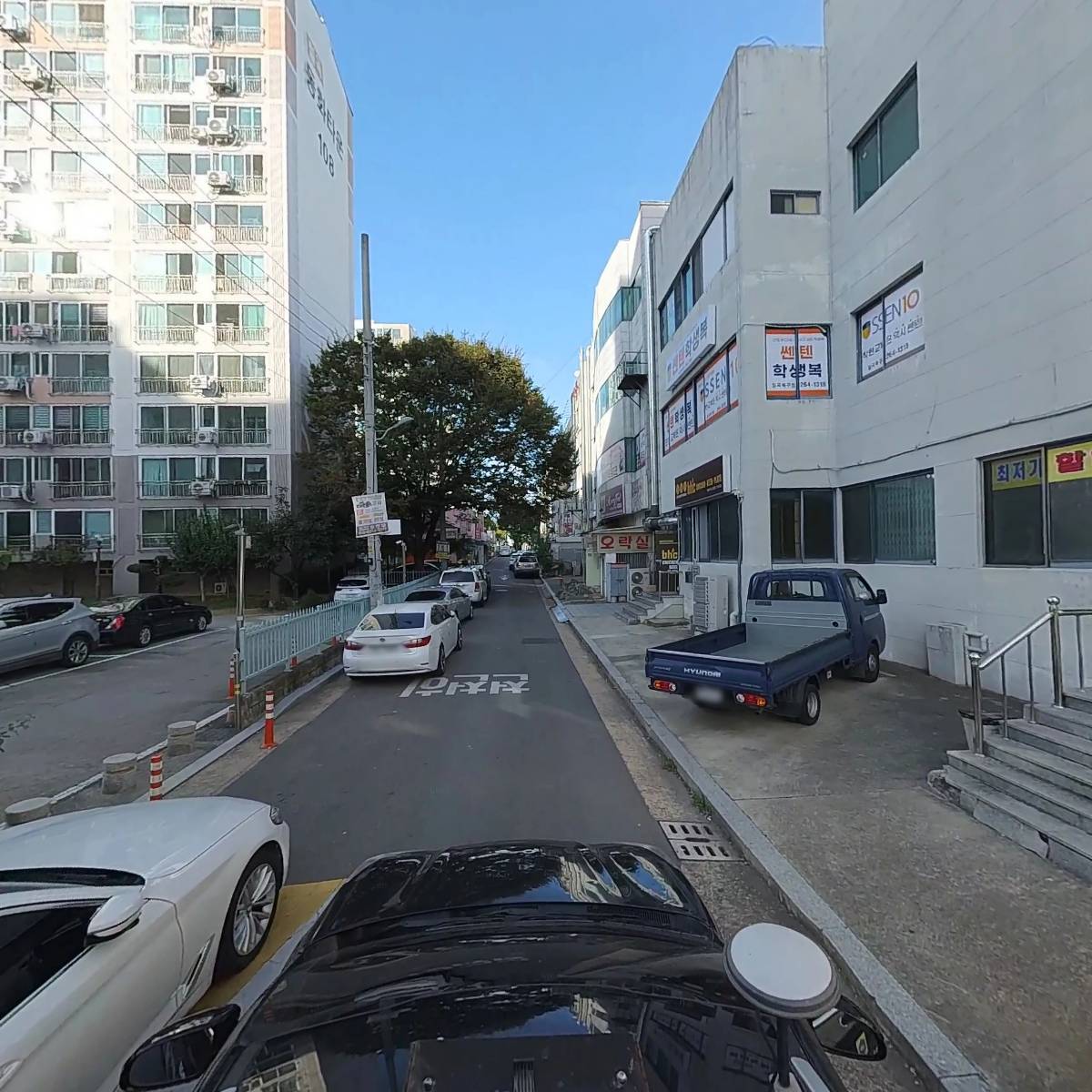 강 동물병원_4