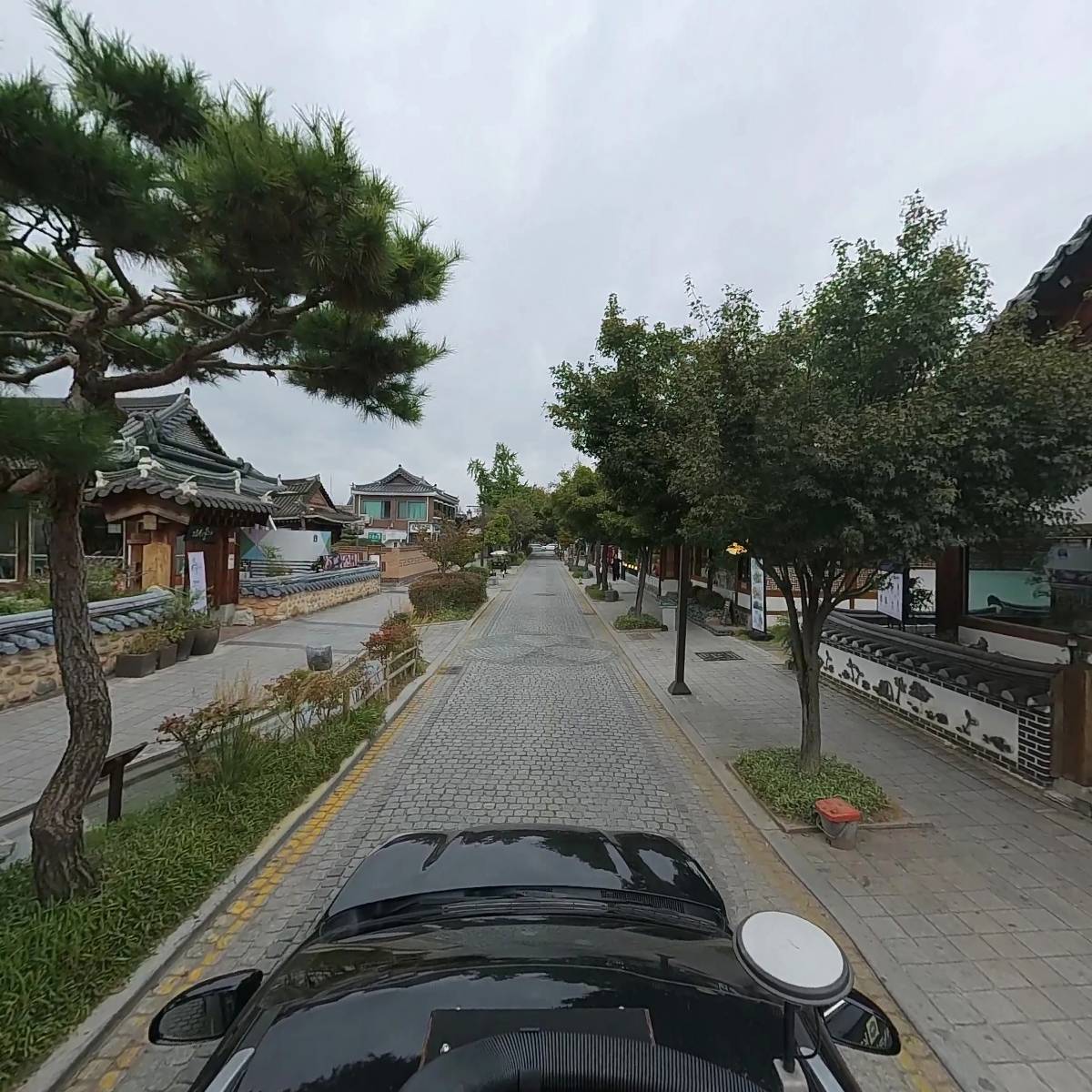 소코아_4