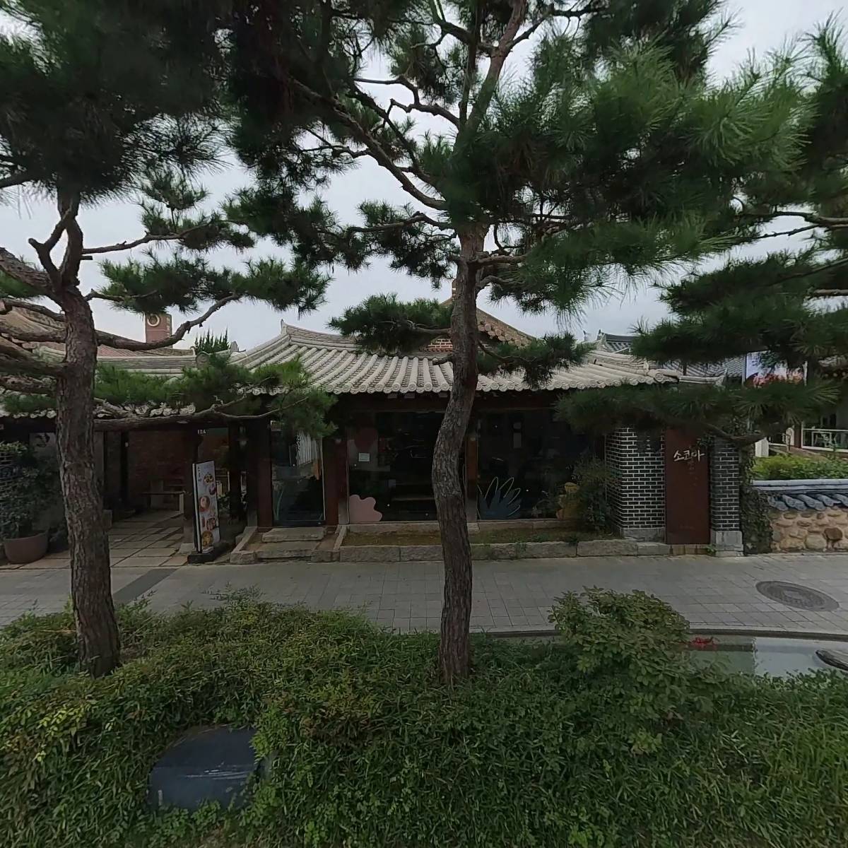 소코아_3