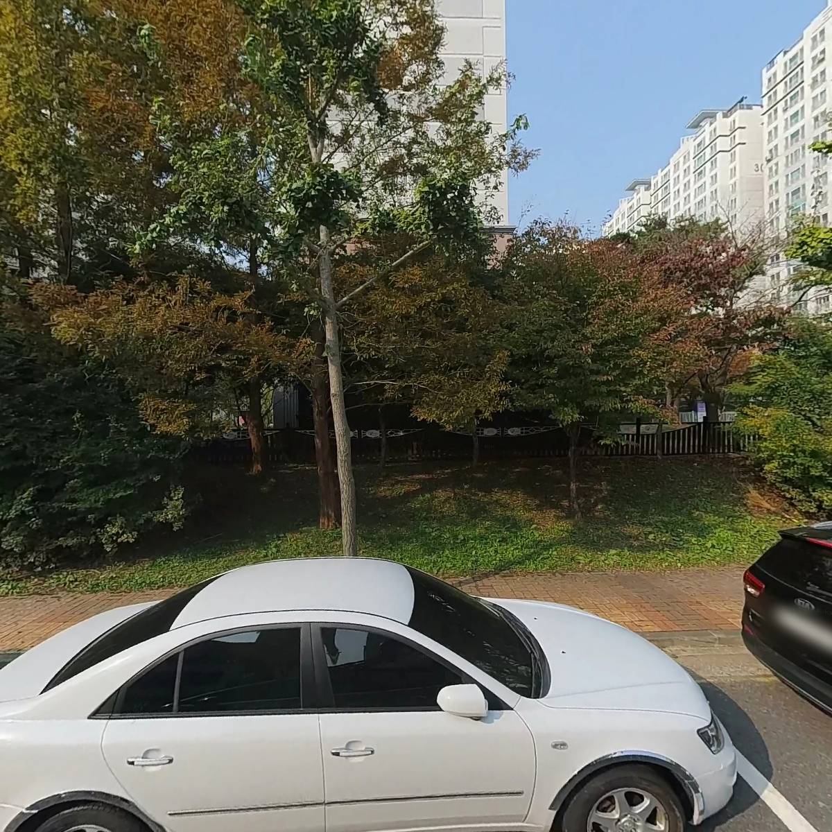 송명선