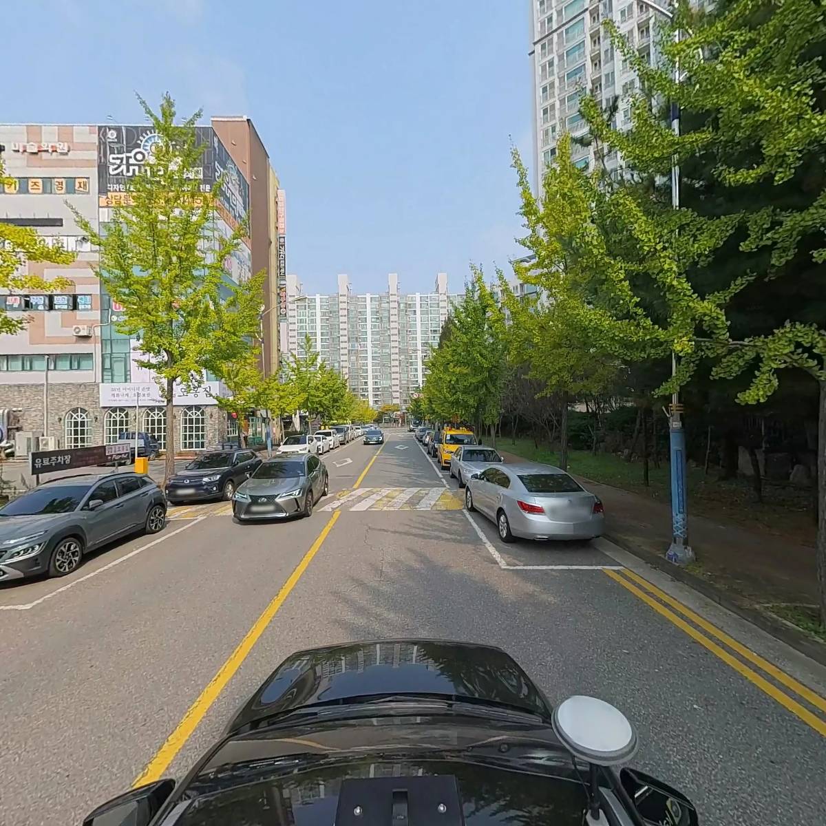 군산꽃돼지_4
