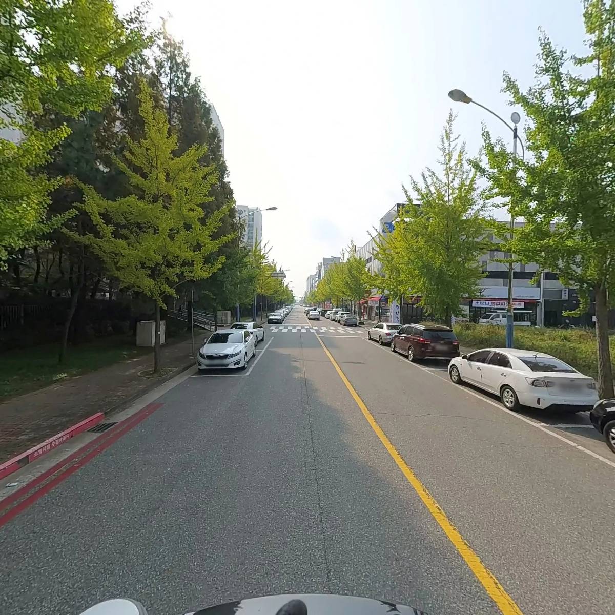군산꽃돼지_2