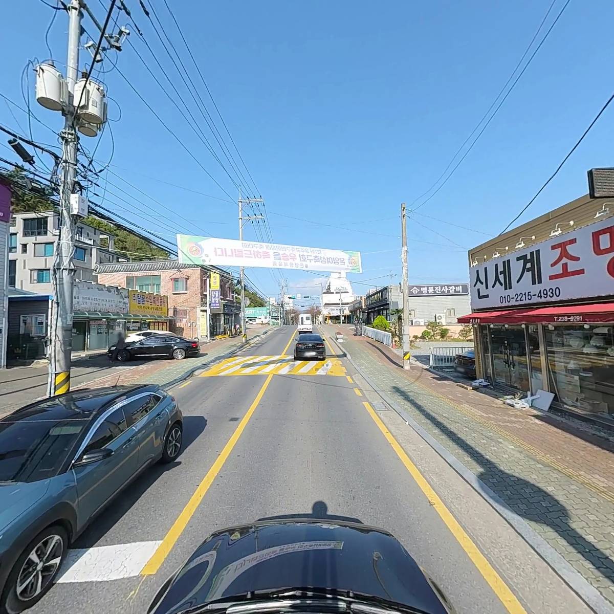 온양애견미용_4