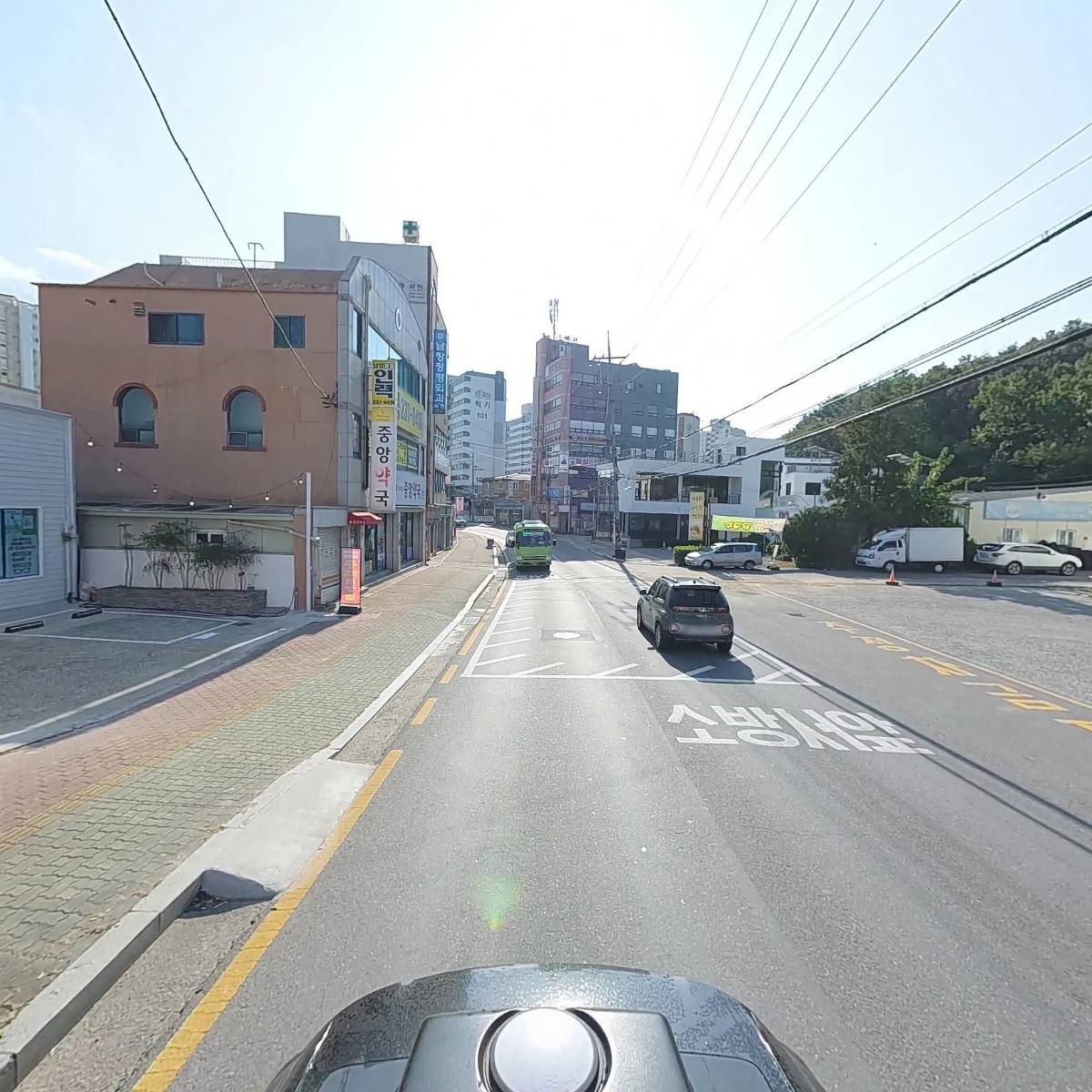 온양애견미용_2