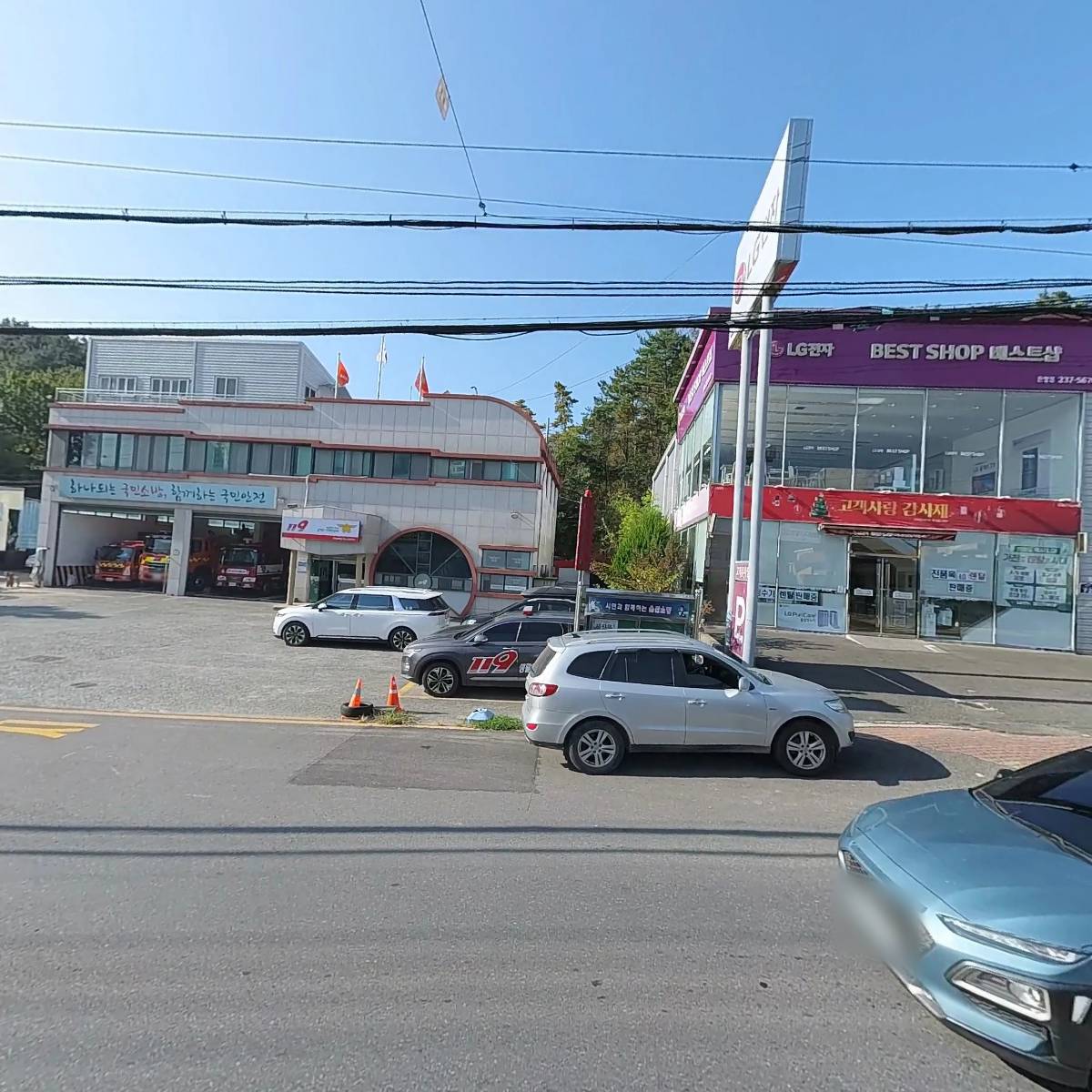 온양애견미용_3