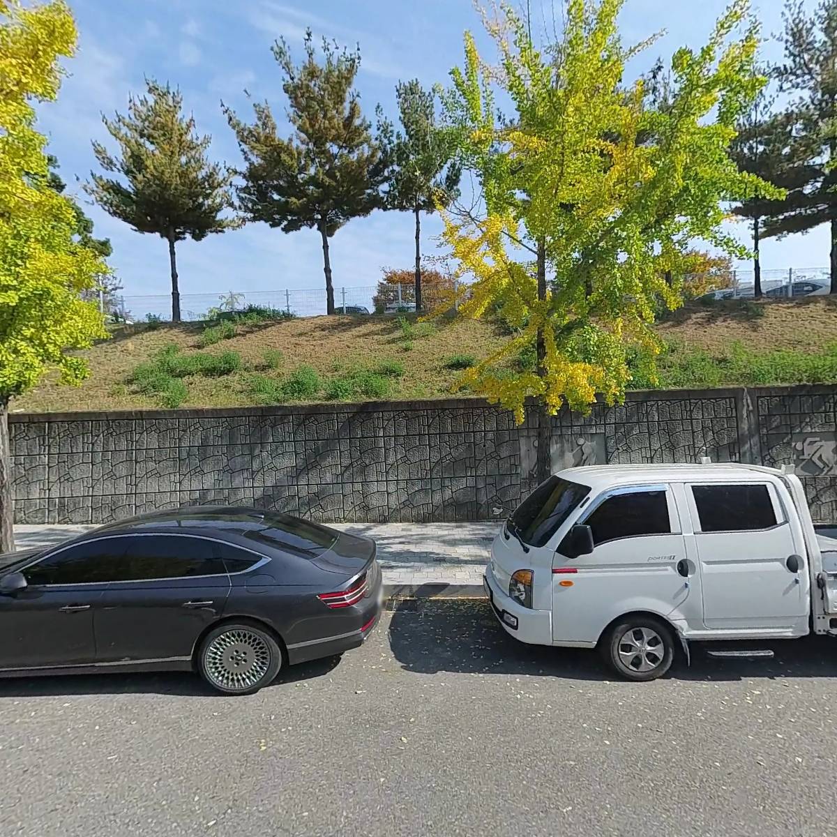 민텍스（MINTEX）
