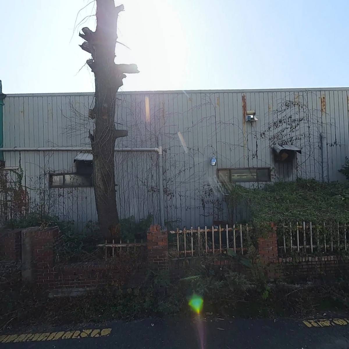 제이메탈(Jmetal)