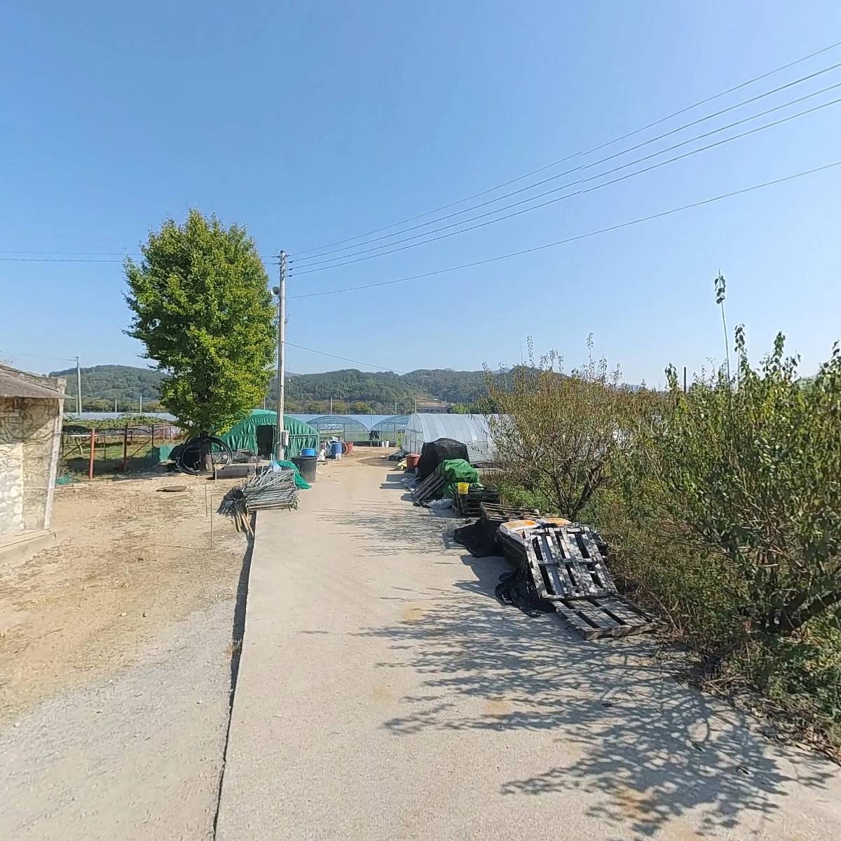 디딤돌친환경작목영농조합법인_3