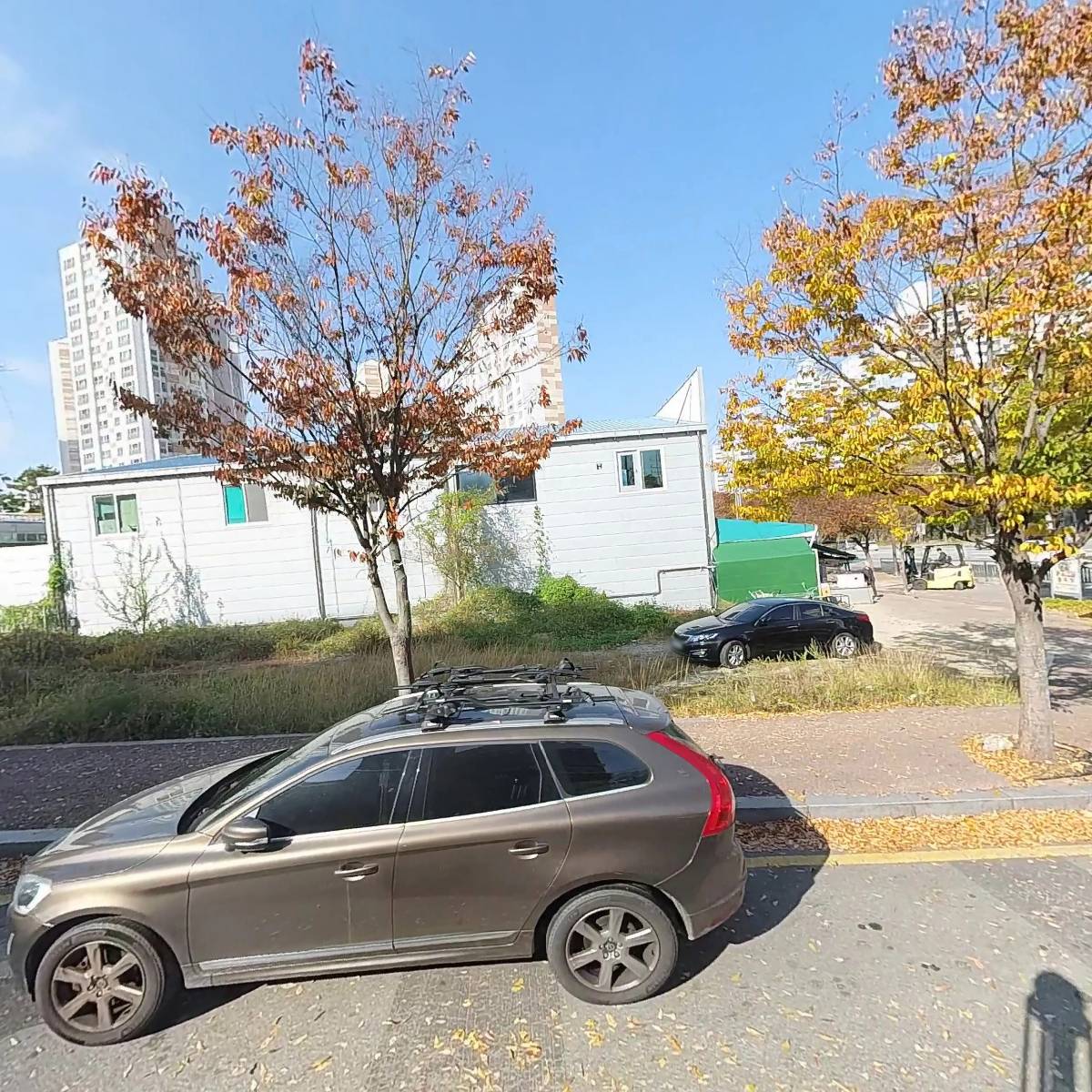 오늘도피자
