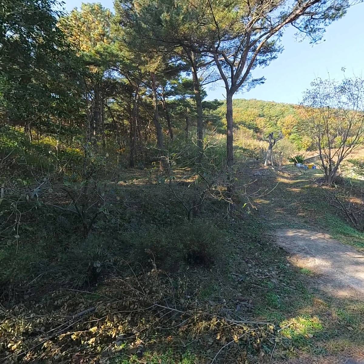 농업회사법인도솔장원(주)