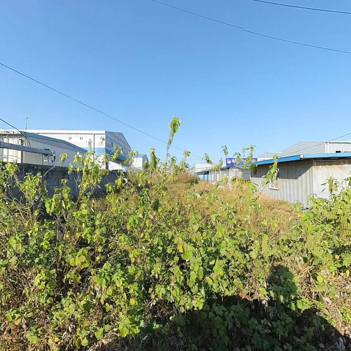 진선축산_3