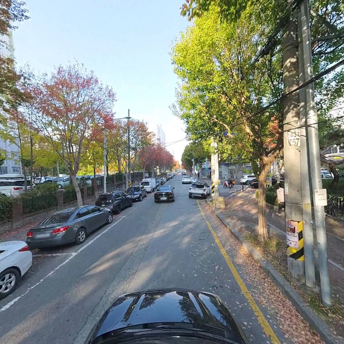 파란하늘방역(우산점)_4