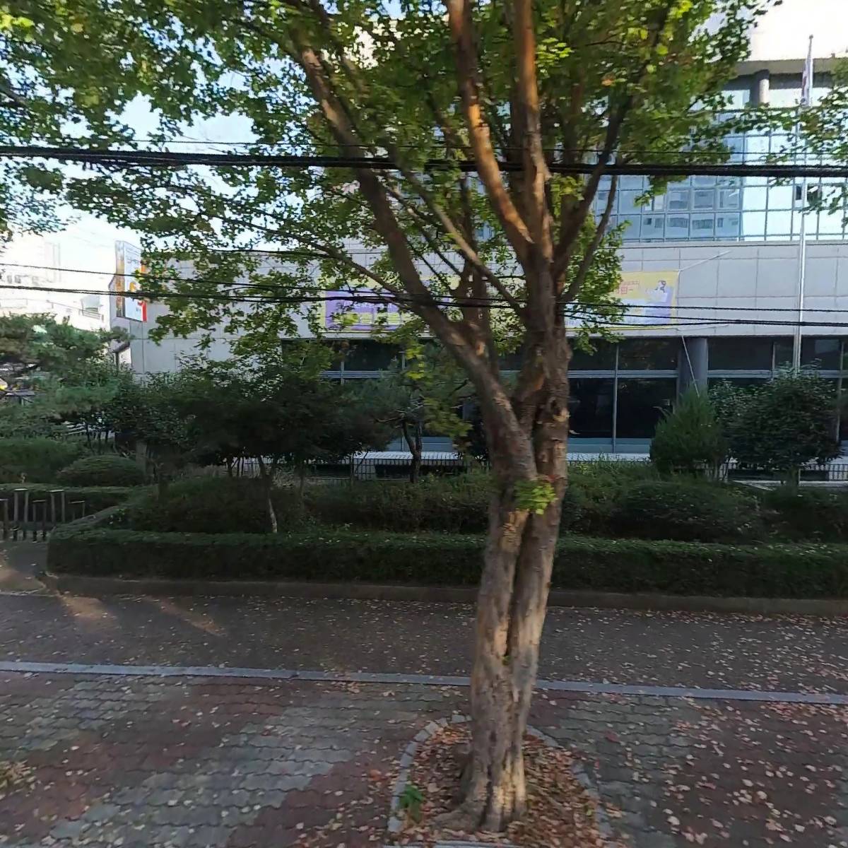 파란하늘방역(우산점)