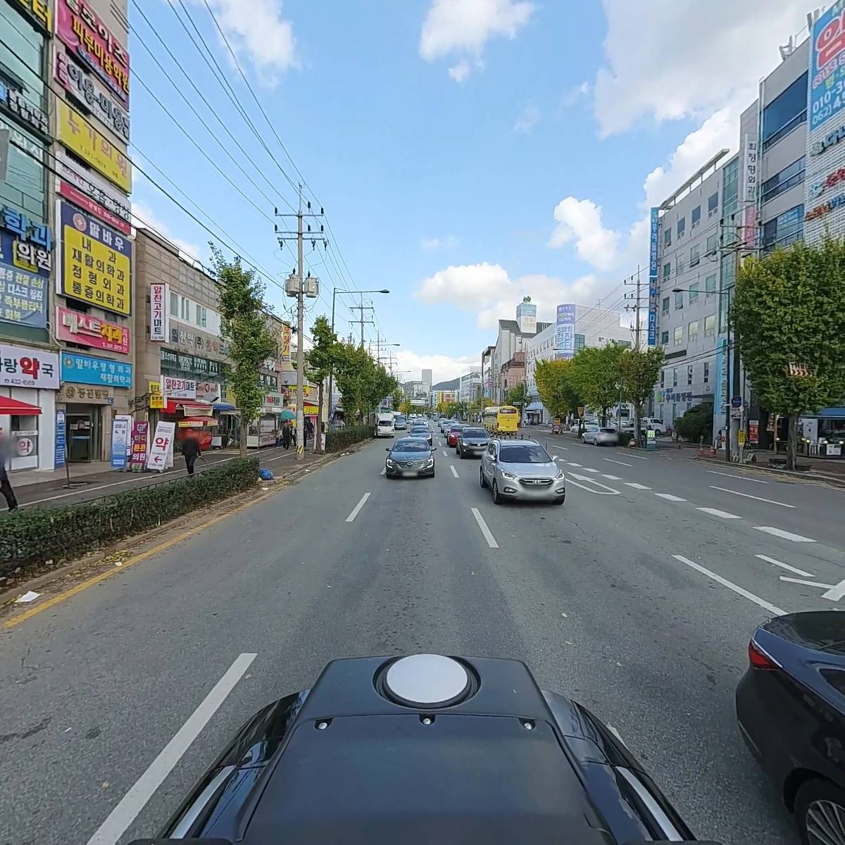 말바우동물병원_2