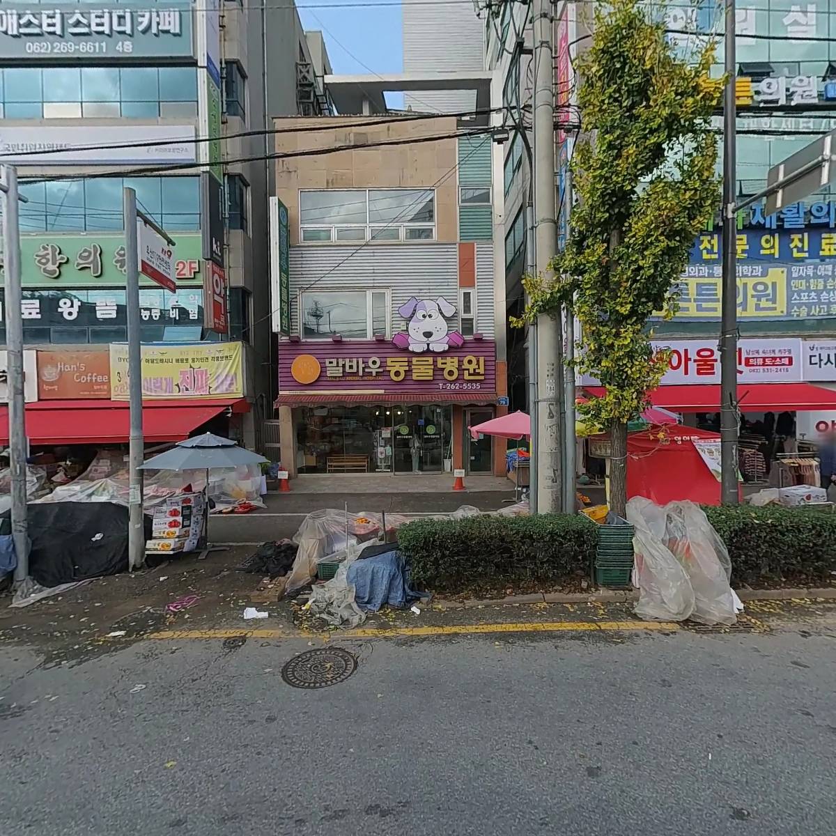 말바우동물병원