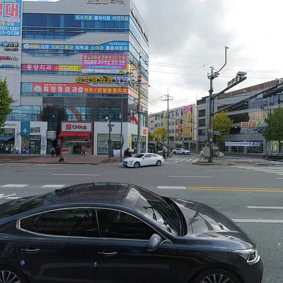 말바우동물병원_3