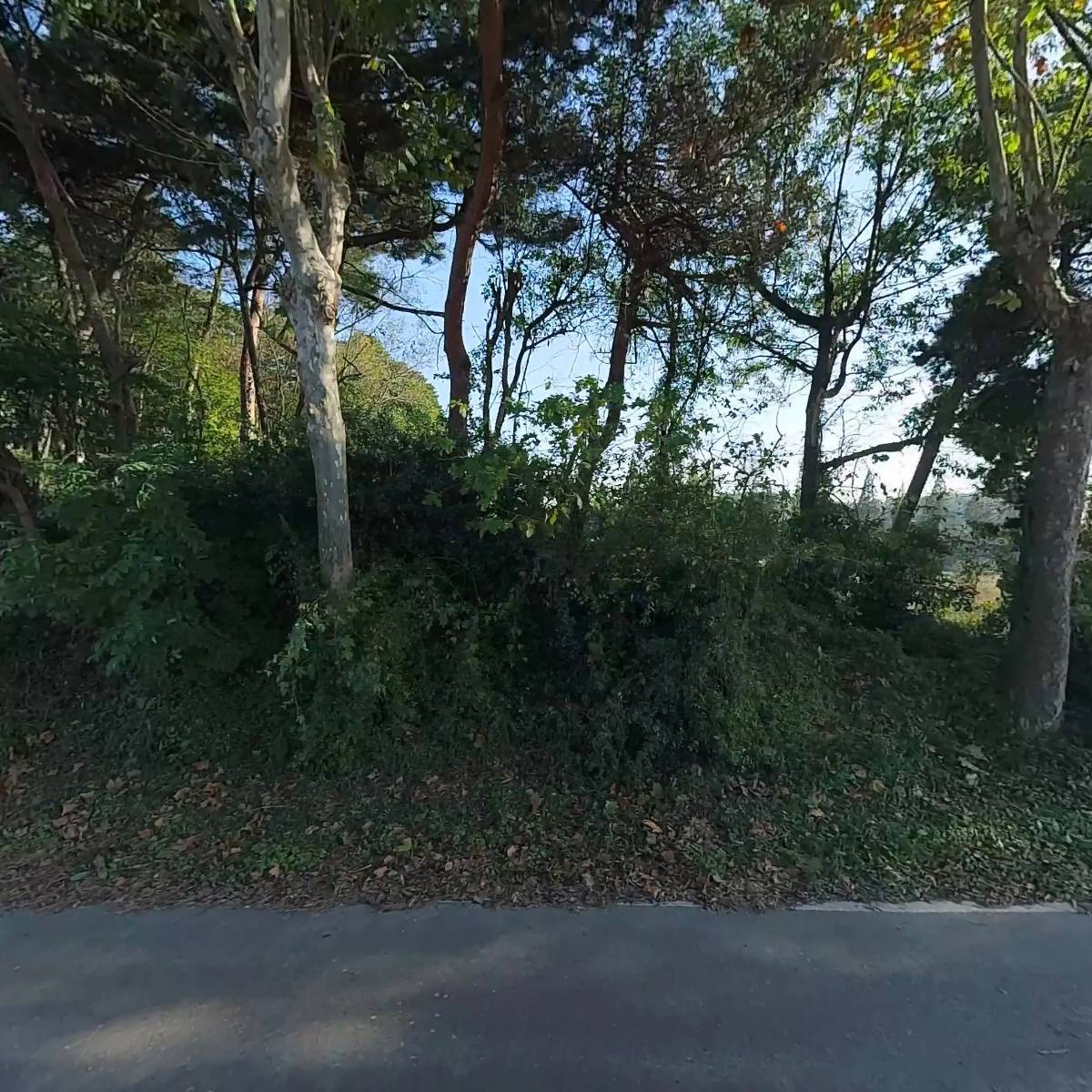 서해（삽교천）대리운전_3