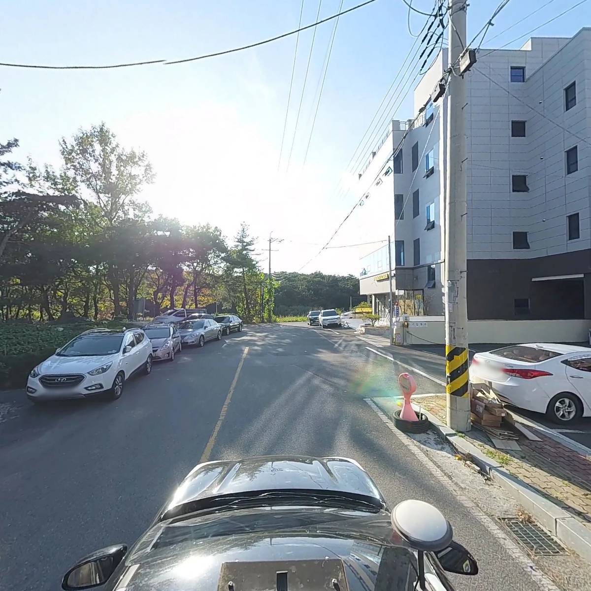코뚜레_4