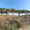 요셉냉동식품_3