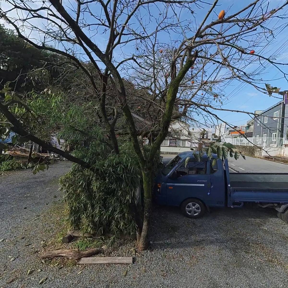 약손약국