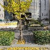 소리엔터테인먼트