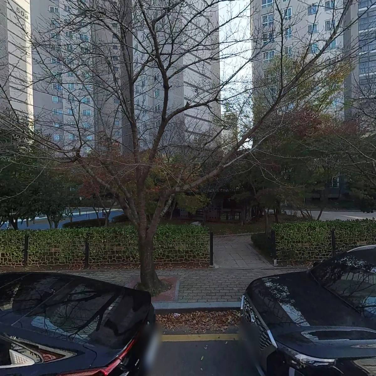 스칼렛파머스영어학원