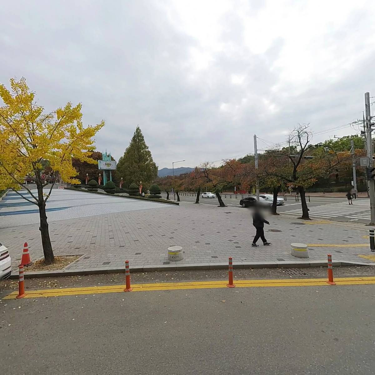 리얼컴퍼니