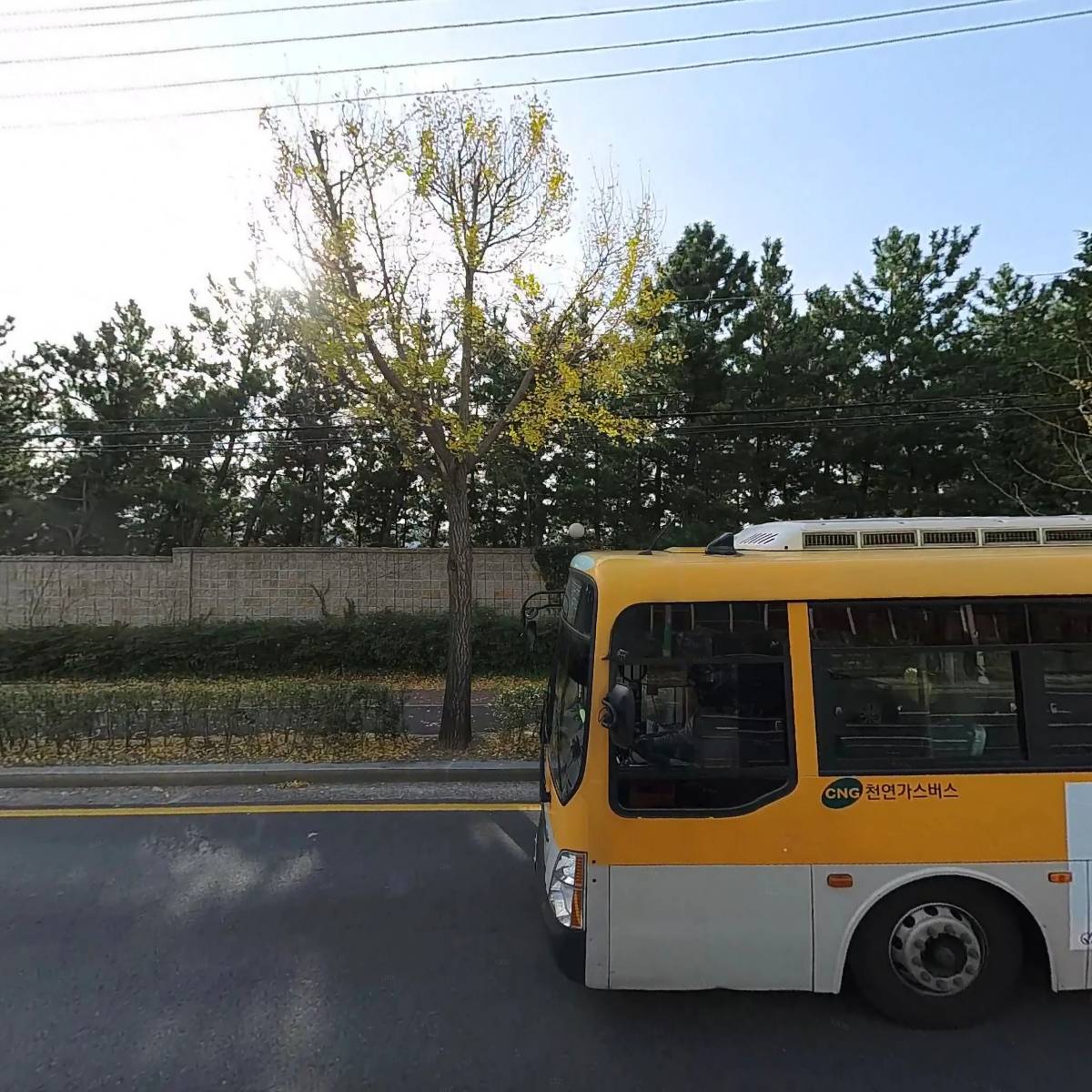 이즈플라워(Is&Co.)