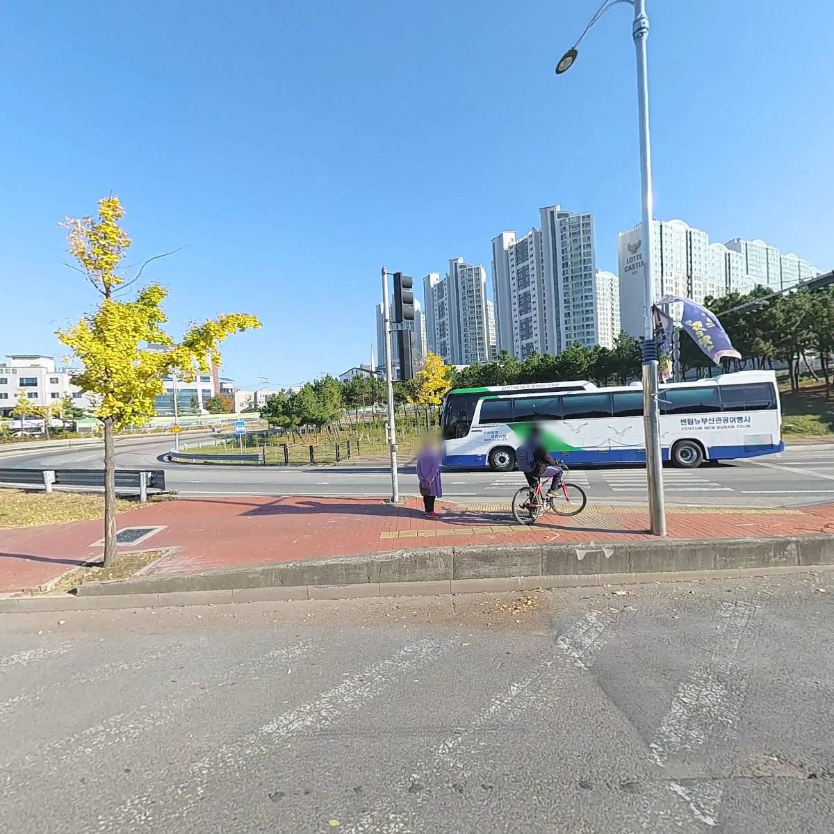 버드모아 앵무새