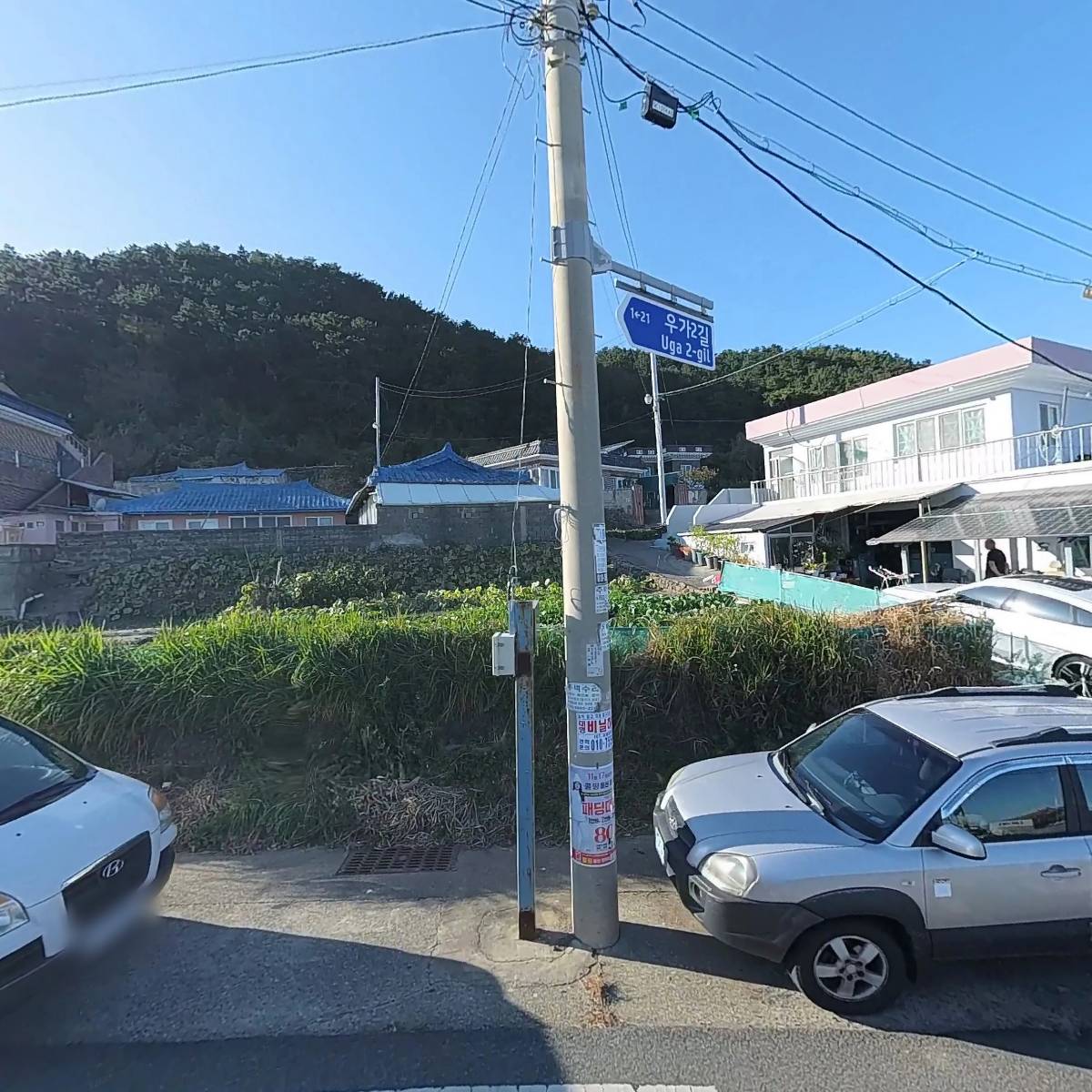 우가포해녀 강동돌미역