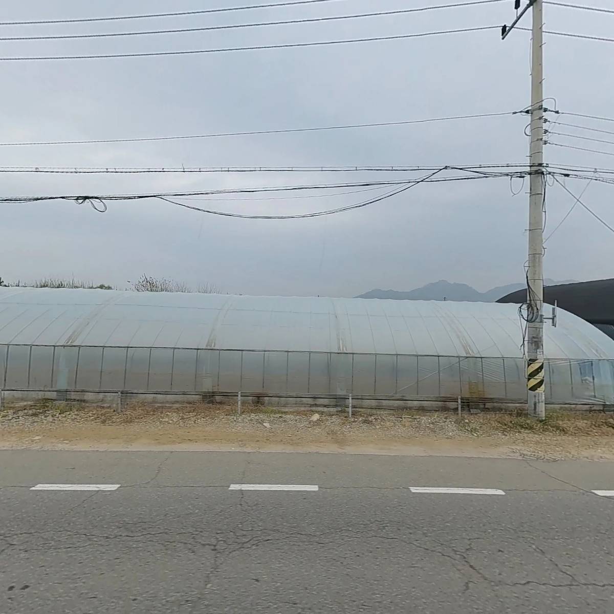 백석꽃집_3