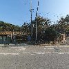 대한농장