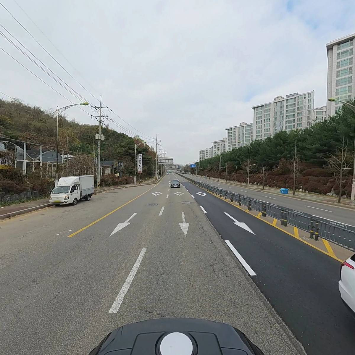 금빛플라워_2