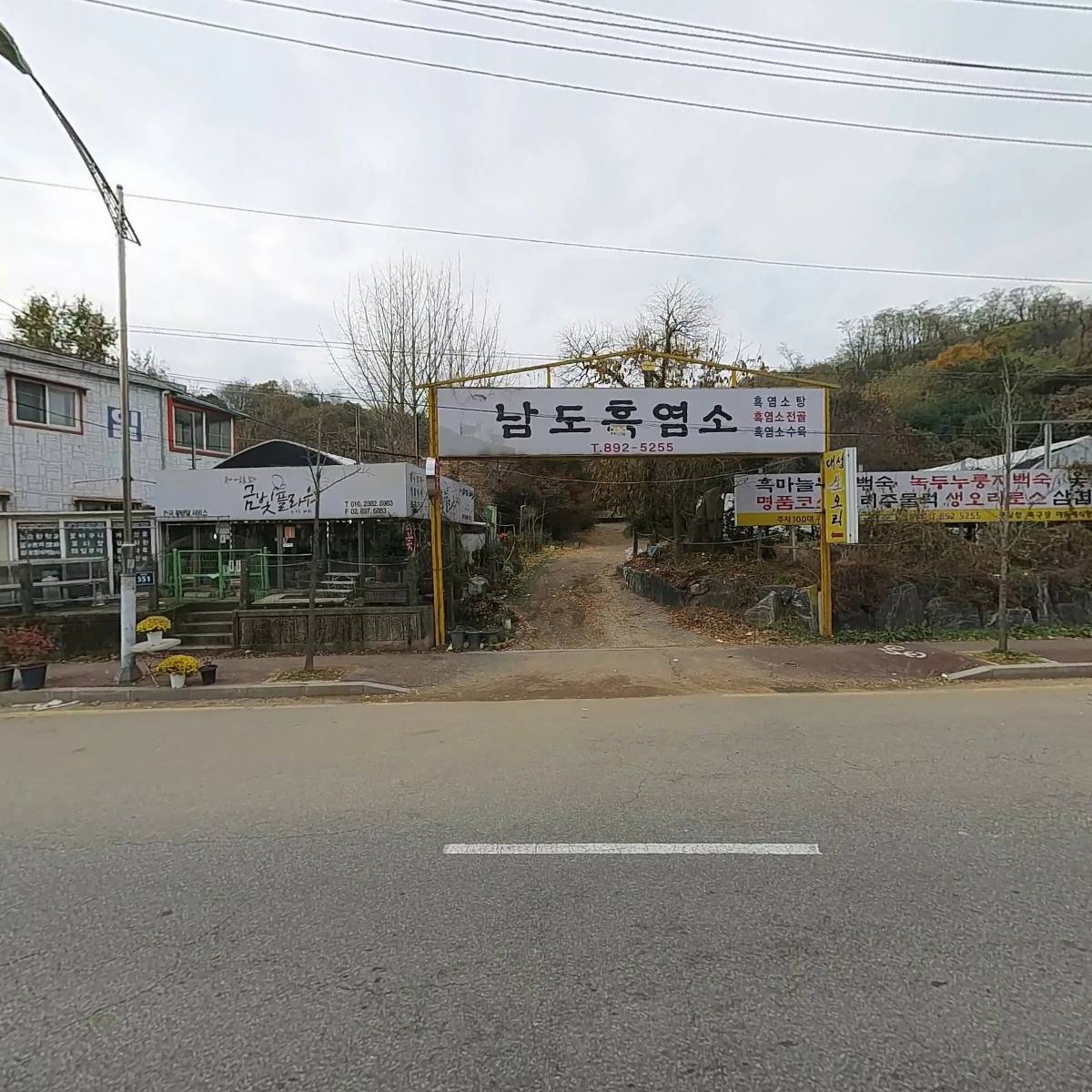 금빛플라워