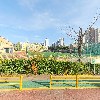 태성태권도장_3