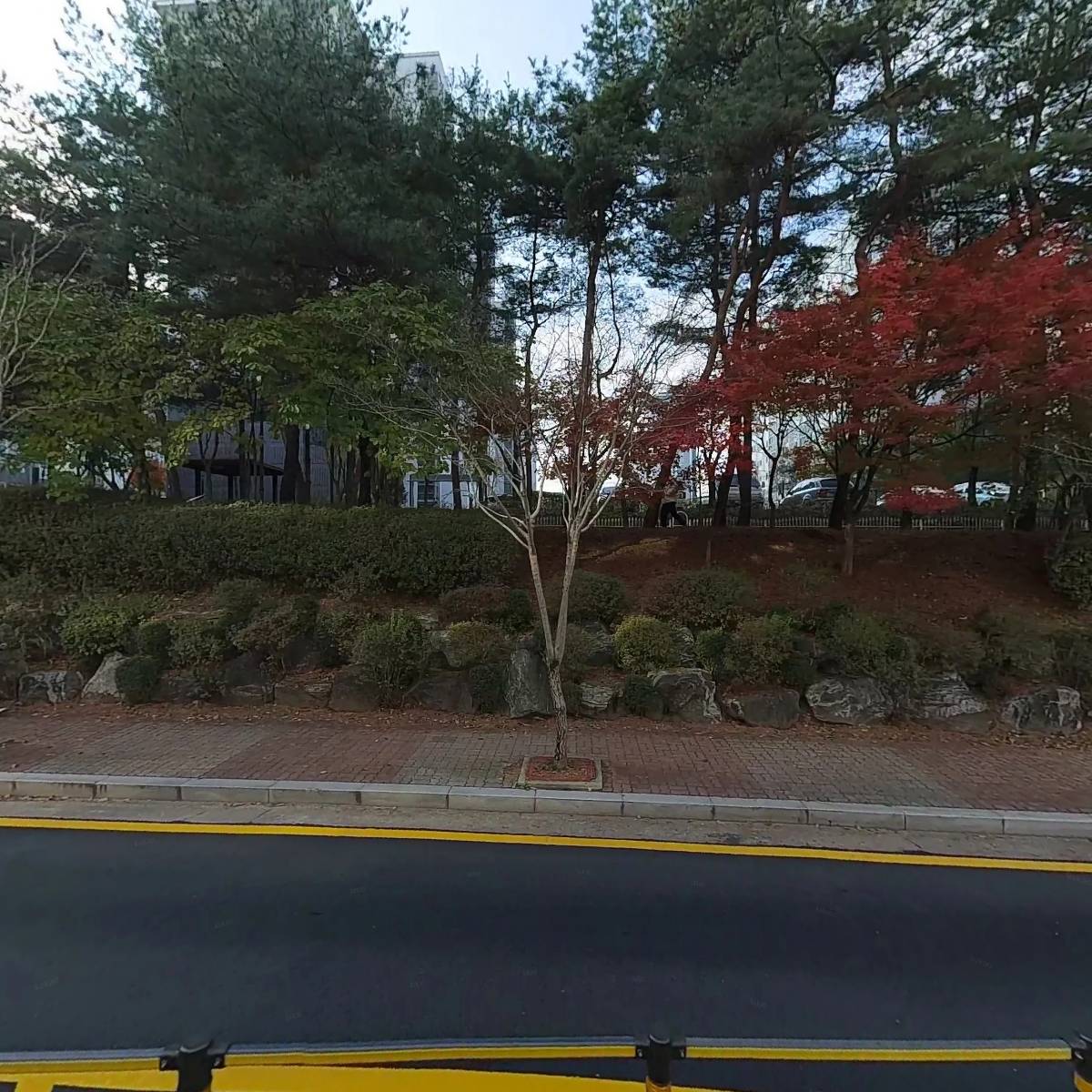 백악관노래클럽_3