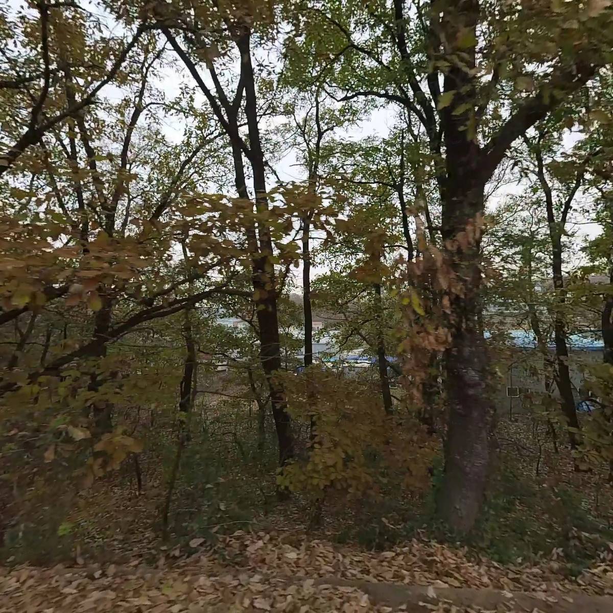 조은송마부동산_3