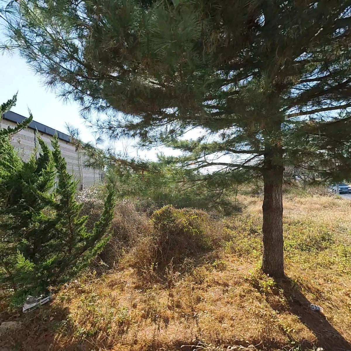 성인용품