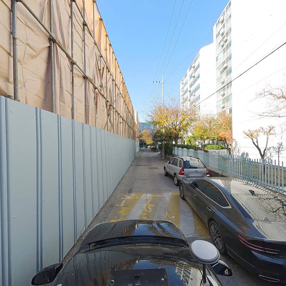 프리모빈스 코리아_4