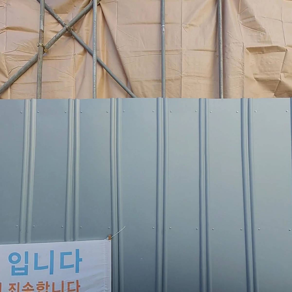 프리모빈스 코리아_3