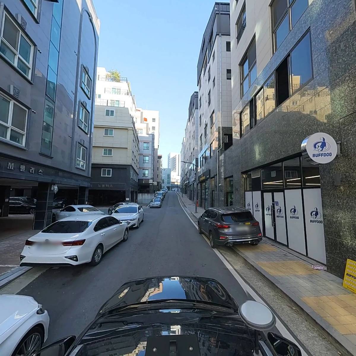 버프독_4
