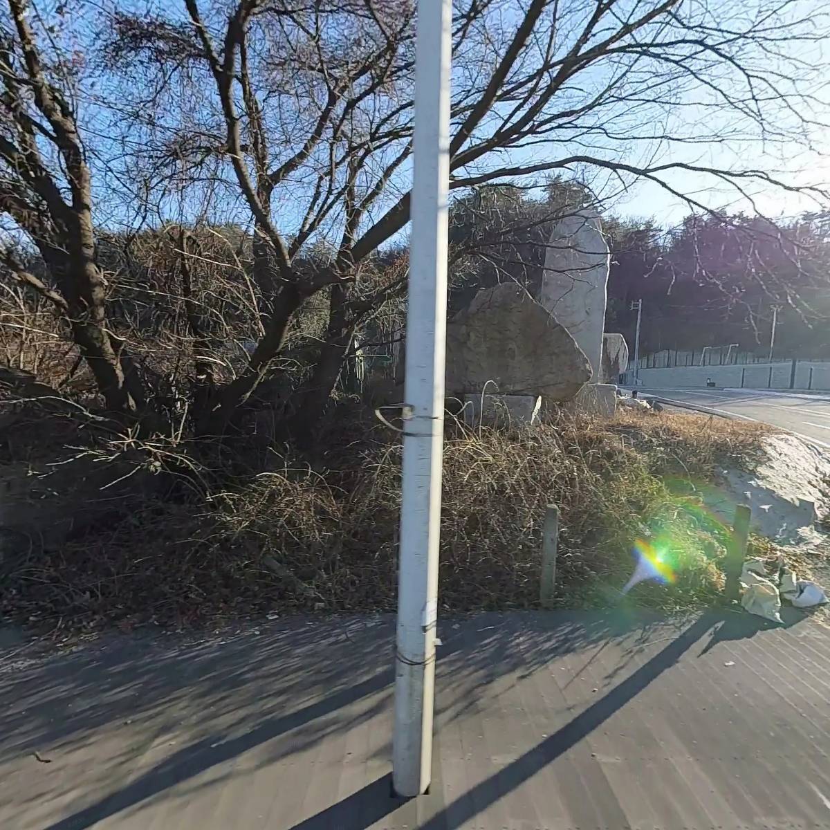 디자인라이트